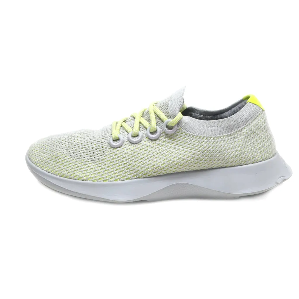 Allbirds Tree Dasher 1 Sport Shoes Fabric Grey Colour For Men