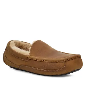 Ascot in Tan by UGG