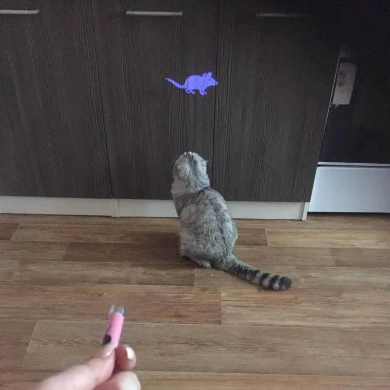 Funny Laser Cat Toy