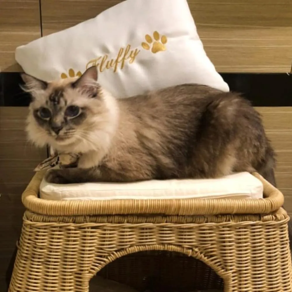 Furnish Ginger Cat Bed (Natural)