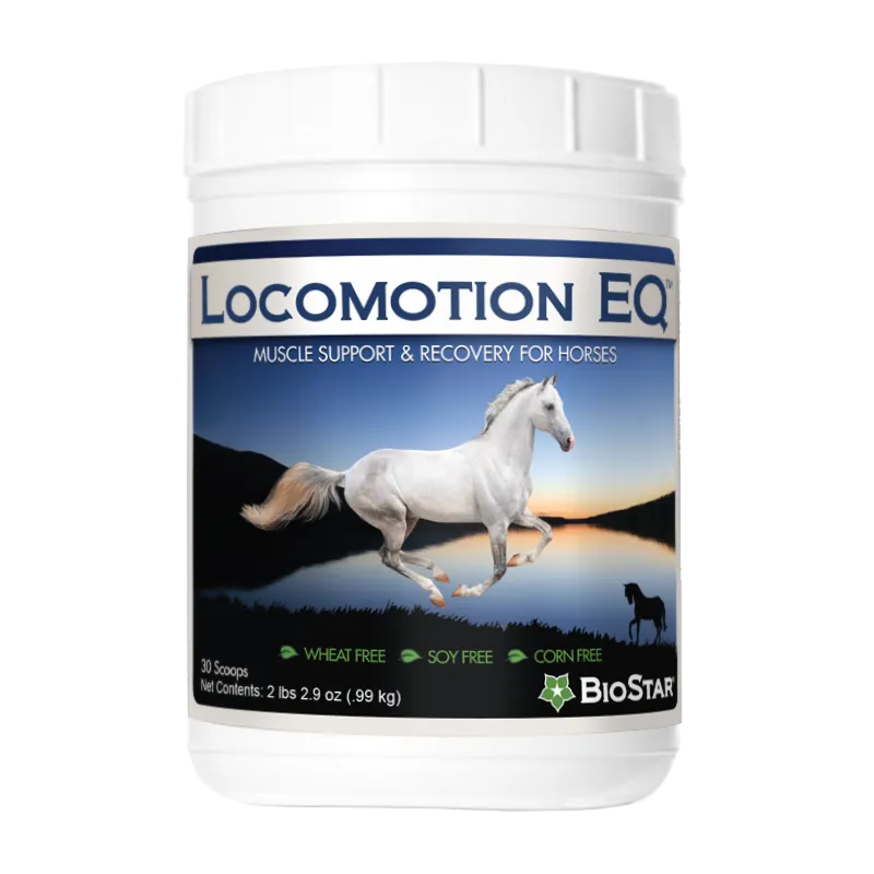 Locomotion EQ