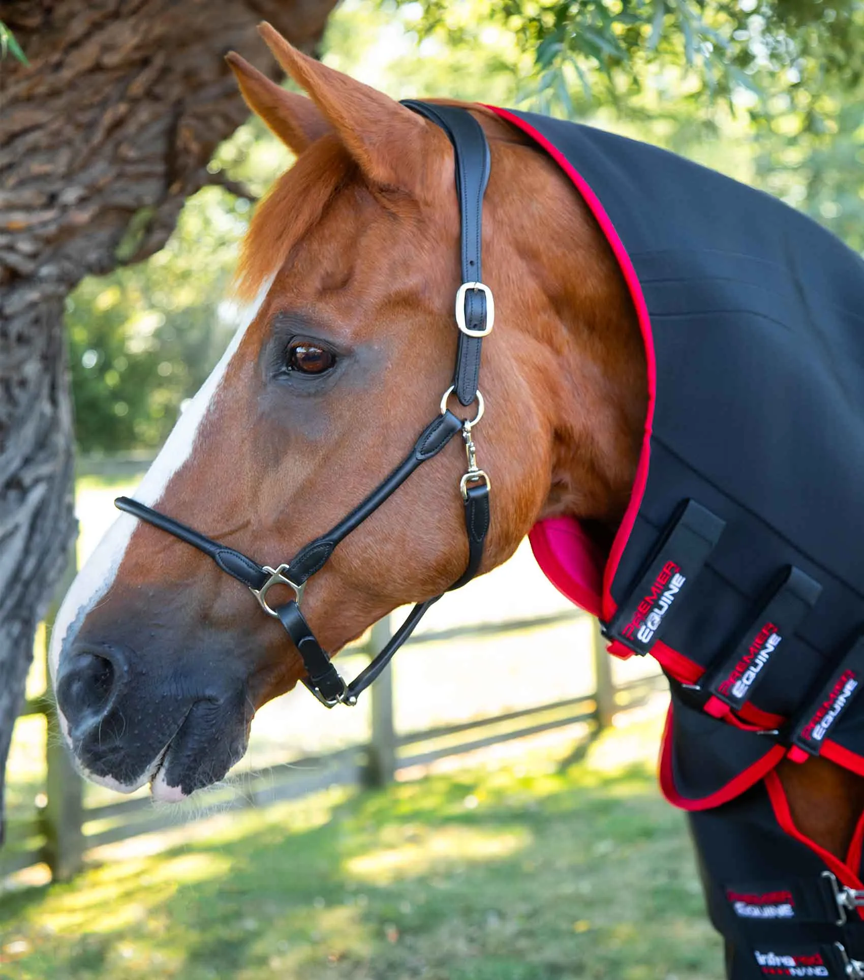 Nano-Tec Infrared Horse Rug