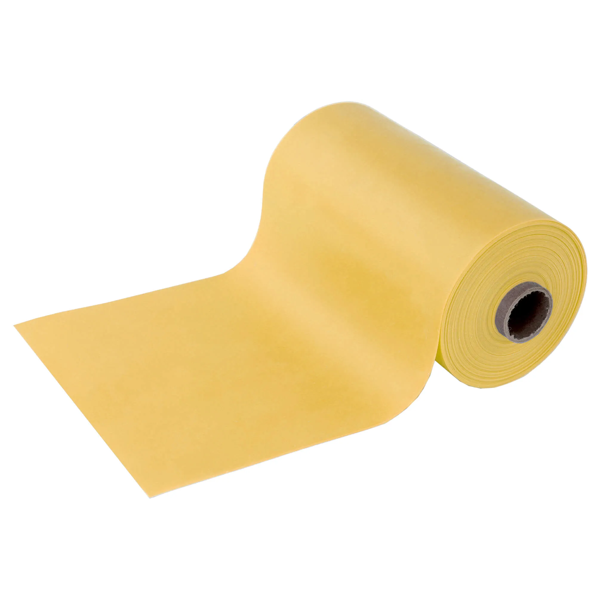 Rep Band Resistance Band Latex Free 6 yds