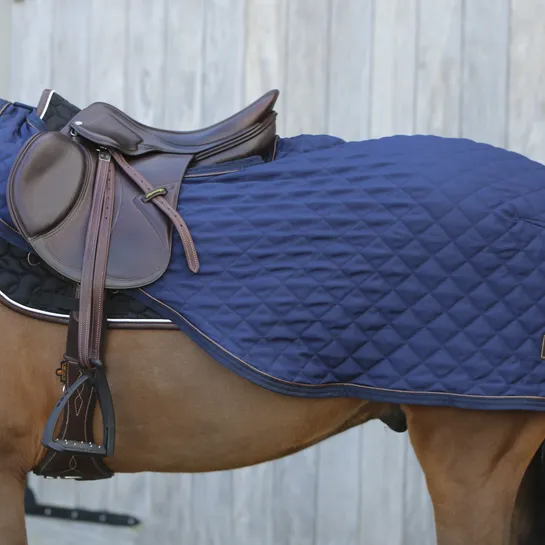 Riding Rug 160gr