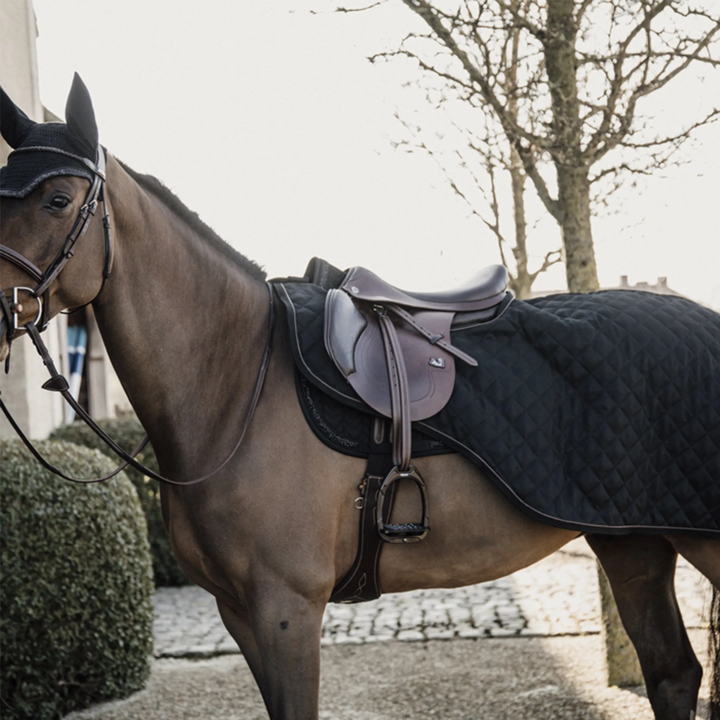 Riding Rug 160gr