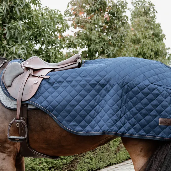 Riding Rug 160gr