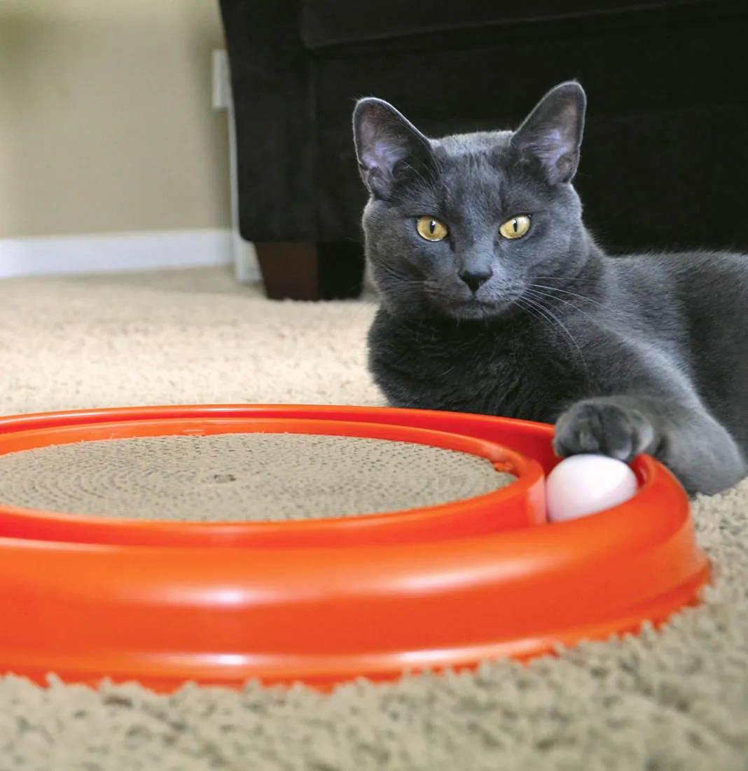 Turbo Cat Scratcher